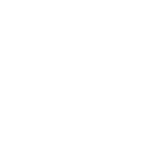 Icon1 1 150x150